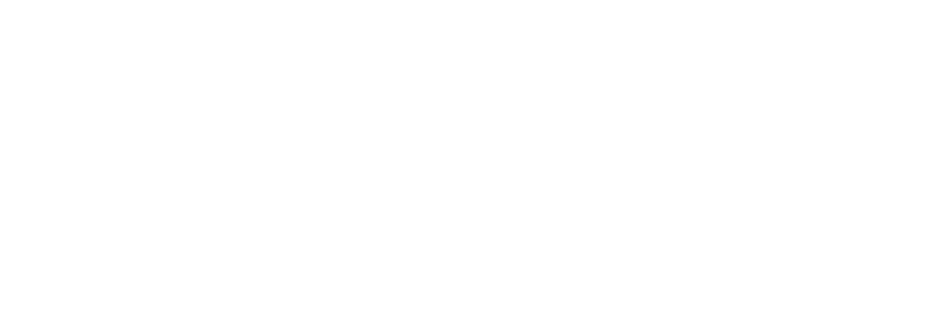 logo light